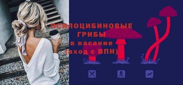 шишки Бугульма