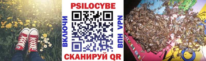 Галлюциногенные грибы Psilocybine cubensis  хочу   Демидов 