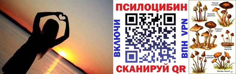 Галлюциногенные грибы Psilocybine cubensis Демидов